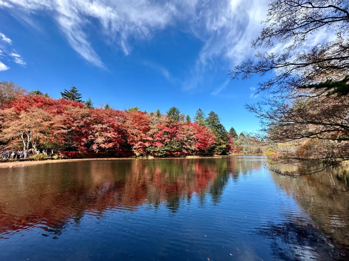紅葉與藍天倒映在湖面