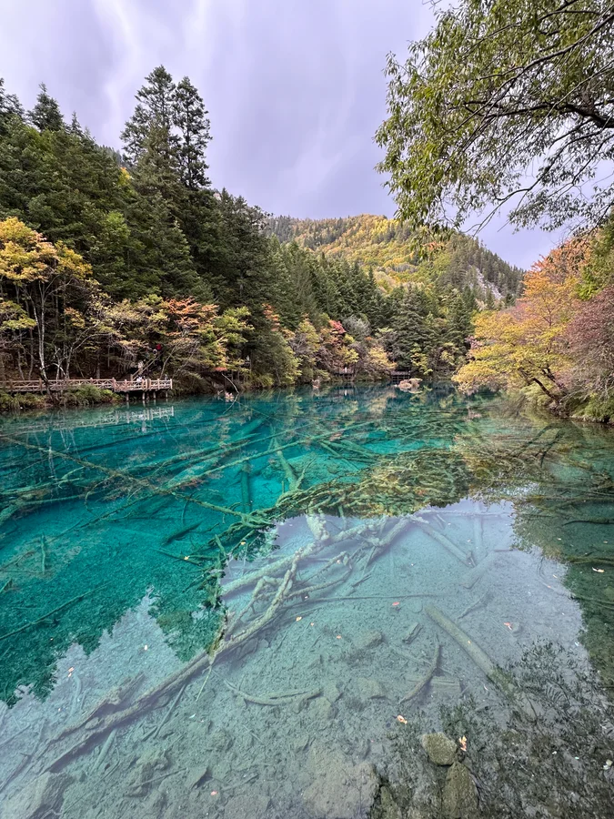 秋色森林旁的清澈翠綠湖水